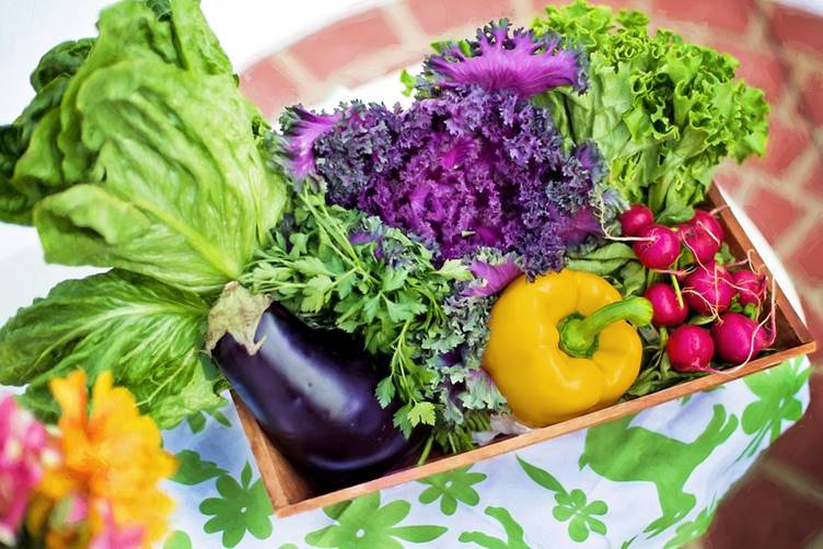 The Benefits of Organic food - Ossa Organic