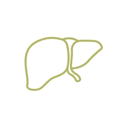 Alt Image
