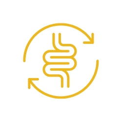 Alt Image