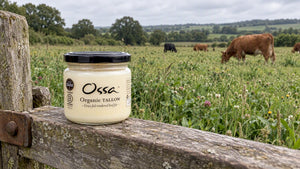 Why pasture diversity matters more than the grass fed label for tallow