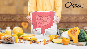 The Importance of Gut Health: Why Your Digestive System Shapes Your Body