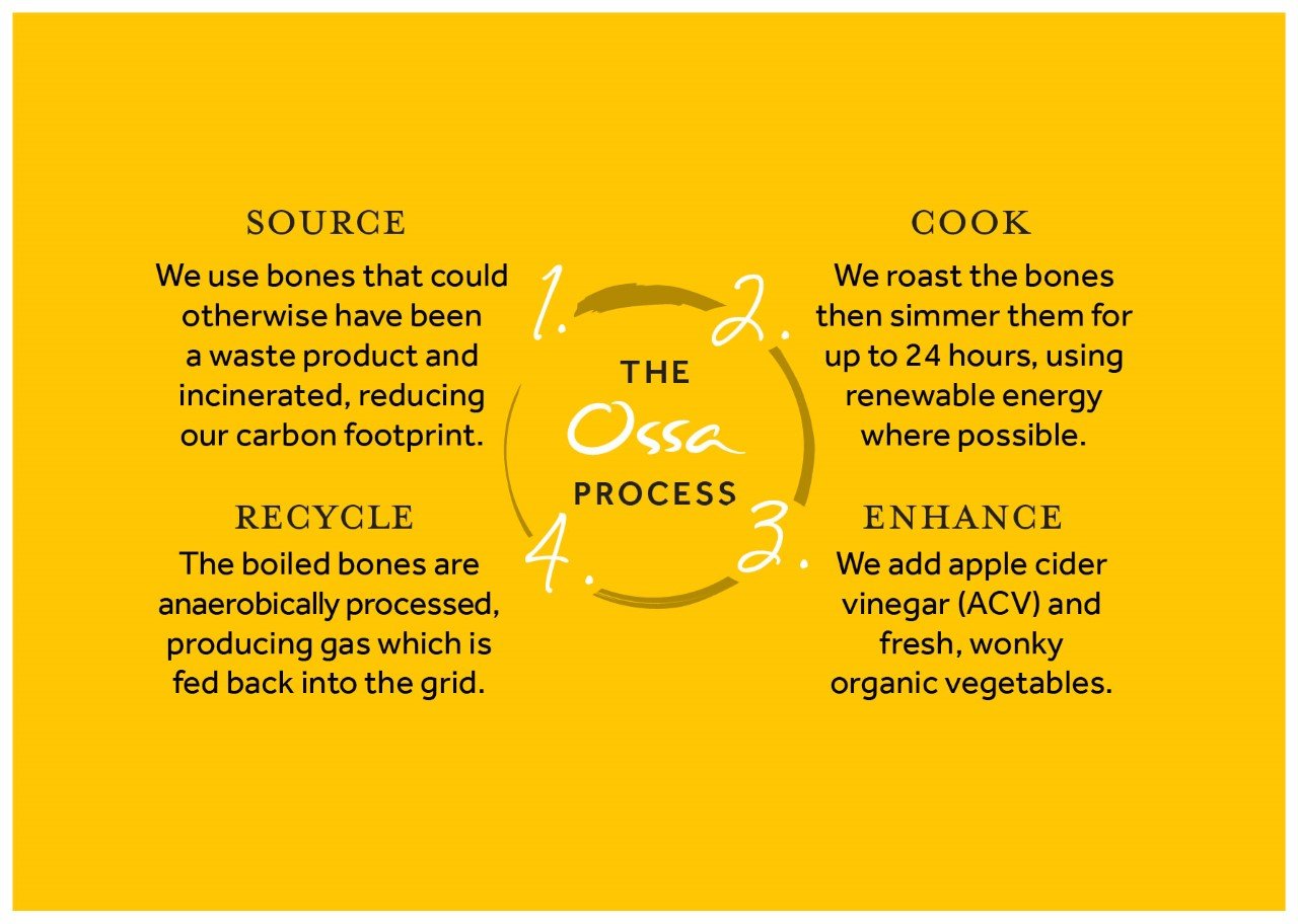 Protecting the Environment, Sustainability and Your Wellbeing