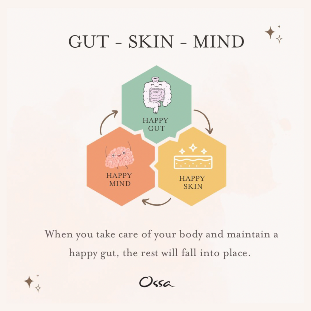 The Connection Between Gut Health and Overall Well-Being - Ossa Organic
