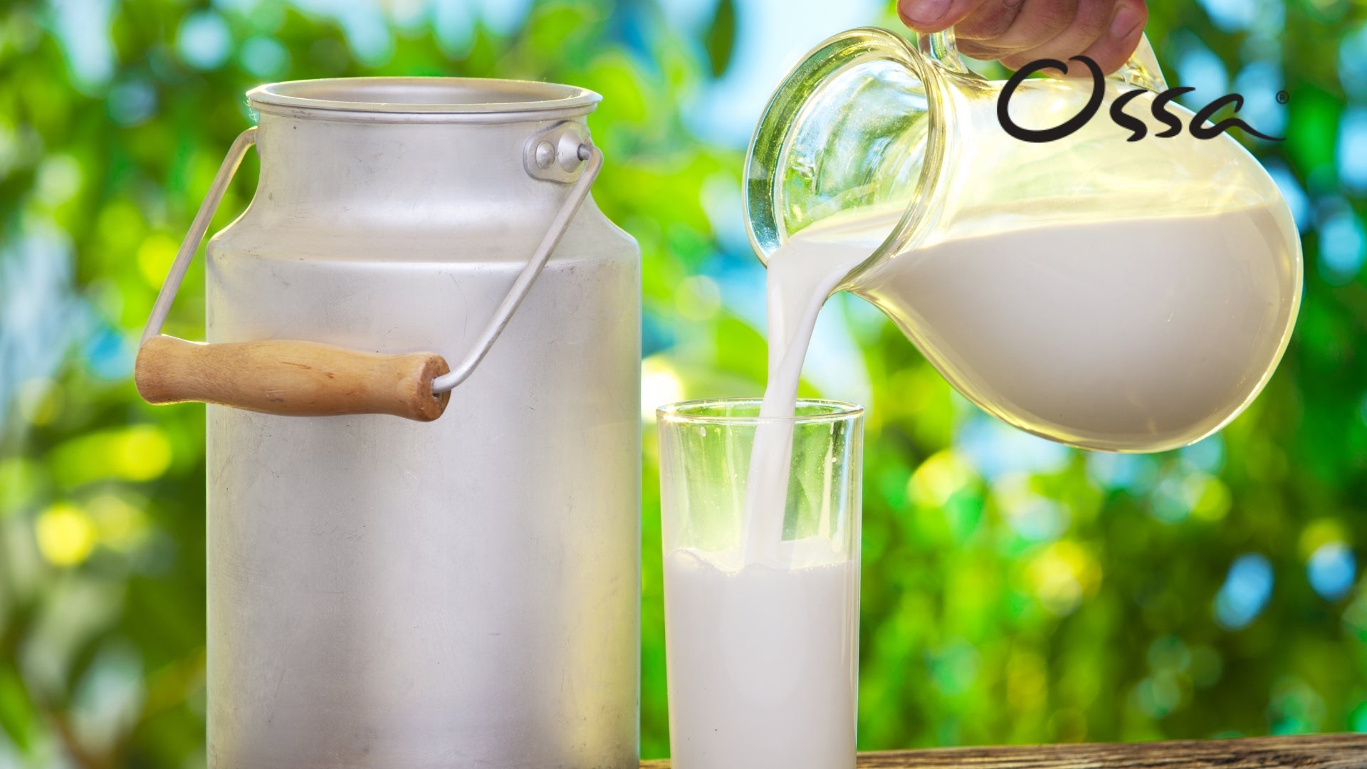 Raw Colostrum: Unlocking Nature’s Secret for Optimal Health