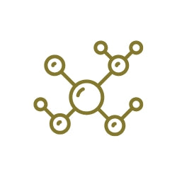 Alt Image
